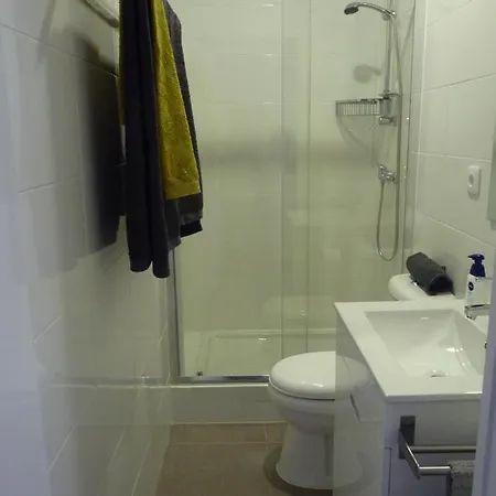 דירה Confortable 1 Bedroom At Roma Avenue - 1a ליסבון